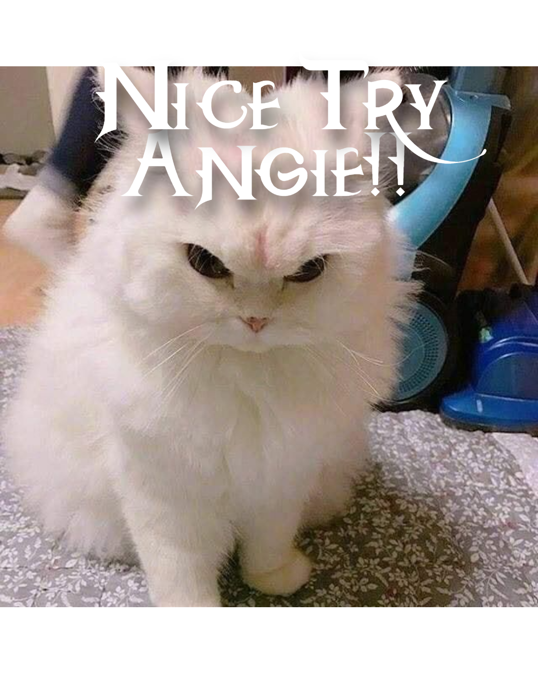 No Angie Allowed