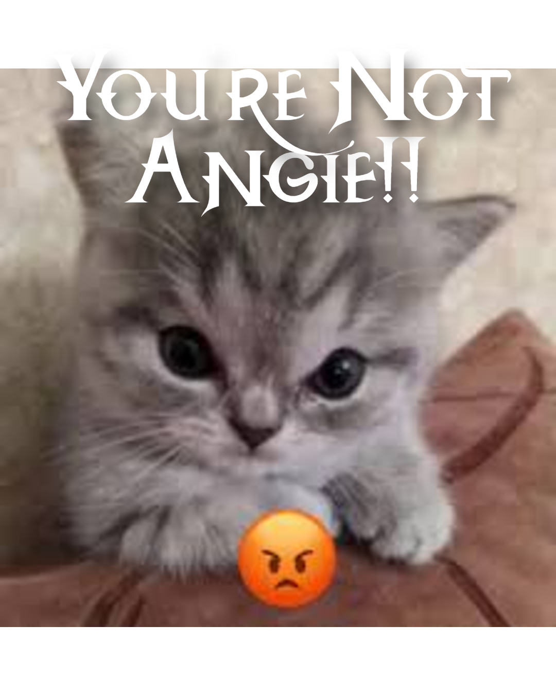 No Angie Allowed