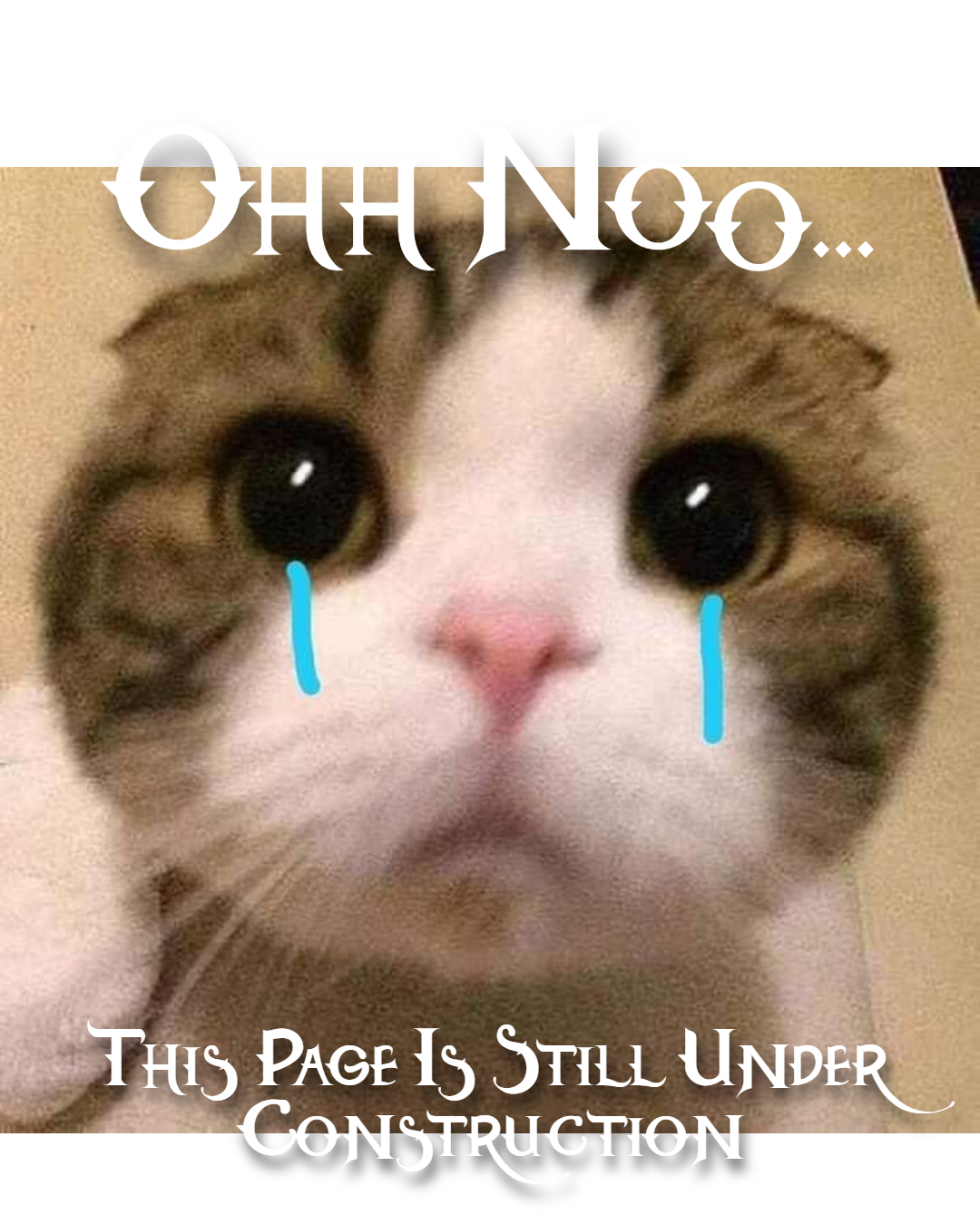No Angie Allowed